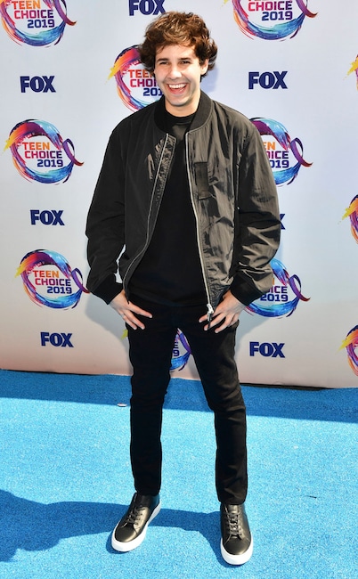 David Dobrik, 2019 Teen Choice Awards, Arrivals